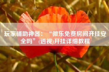 玩家辅助神器：“微乐免费房间开挂安全吗	”(透视)开挂详细教程