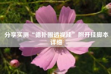 分享实测“德扑圈透视挂”附开挂脚本详细