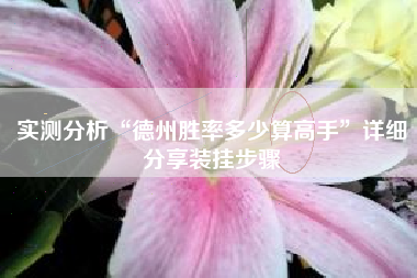 实测分析“德州胜率多少算高手”详细分享装挂步骤 实测分析“德州胜率多少算高手”详细分享装挂步骤