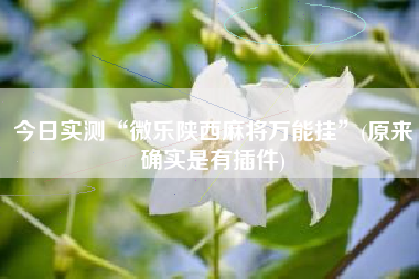 今日实测“微乐陕西麻将万能挂”(原来确实是有插件)