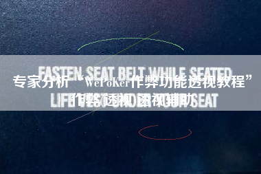 专家分析“WePoKer作弊功能透视教程”作弊(透视)透视辅助