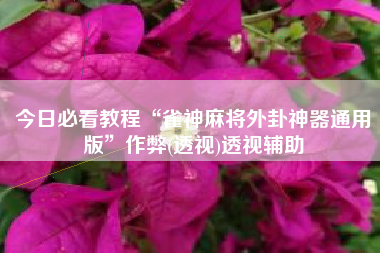 今日必看教程“雀神麻将外卦神器通用版”作弊(透视)透视辅助