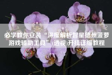 必学教你安装“深度解析智星德州菠萝游戏辅助工具	”(透视)开挂详细教程