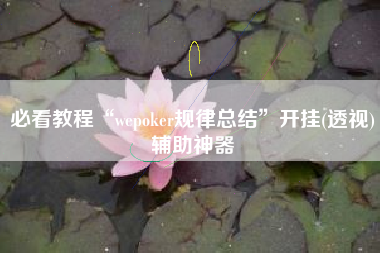 必看教程“wepoker规律总结”开挂(透视)辅助神器