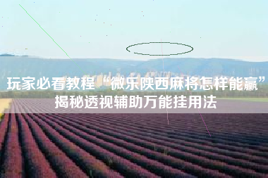 玩家必看教程“微乐陕西麻将怎样能赢”揭秘透视辅助万能挂用法