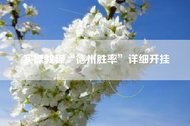 实操教程“德州胜率”详细开挂