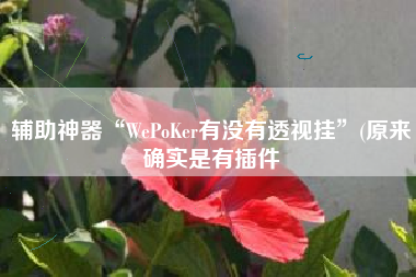 辅助神器“WePoKer有没有透视挂	”(原来确实是有插件