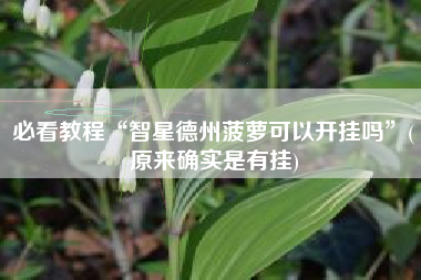 必看教程“智星德州菠萝可以开挂吗”(原来确实是有挂)