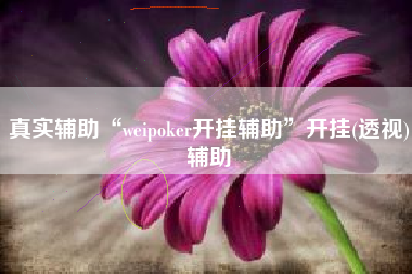 真实辅助“weipoker开挂辅助”开挂(透视)辅助