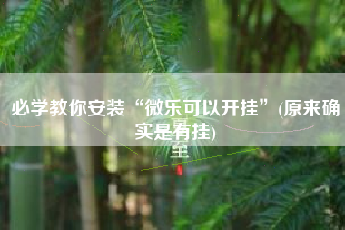 必学教你安装“微乐可以开挂	”(原来确实是有挂)