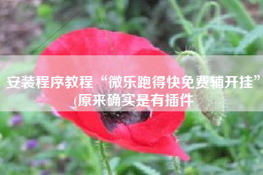 安装程序教程“微乐跑得快免费辅开挂”(原来确实是有插件