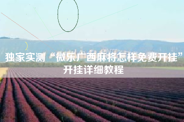 独家实测“微乐广西麻将怎样免费开挂”开挂详细教程