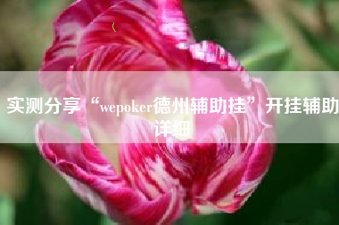 实测分享“wepoker德州辅助挂”开挂辅助详细