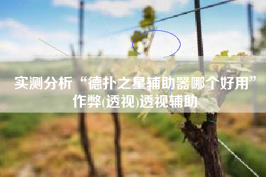 实测分析“德扑之星辅助器哪个好用”作弊(透视)透视辅助