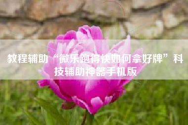 教程辅助“微乐跑得快如何拿好牌”科技辅助神器手机版