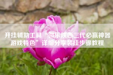 开挂辅助工具“微乐陕西三代必赢神器游戏特色”详细分享装挂步骤教程