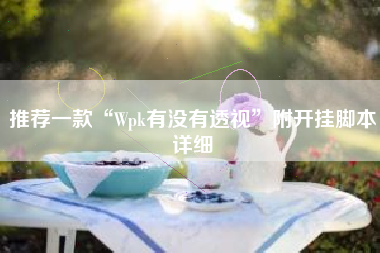 推荐一款“Wpk有没有透视”附开挂脚本详细