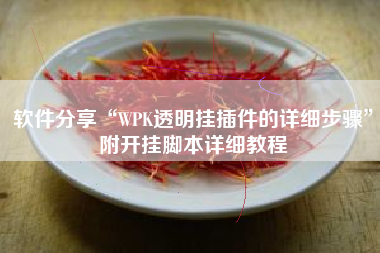 软件分享“WPK透明挂插件的详细步骤	”附开挂脚本详细教程