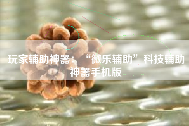 玩家辅助神器：“微乐辅助”科技辅助神器手机版