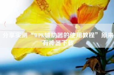 分享实测“WPK辅助器的使用教程	”原来有神器下载