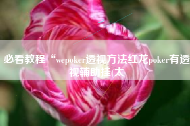 必看教程“wepoker透视方法红龙poker有透视辅助挂(太