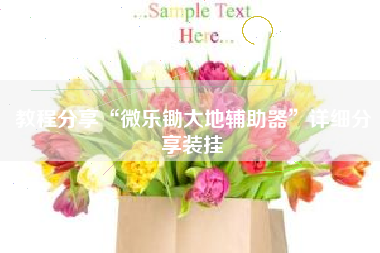 教程分享“微乐锄大地辅助器	”详细分享装挂