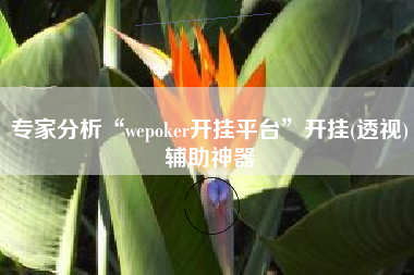 专家分析“wepoker开挂平台”开挂(透视)辅助神器