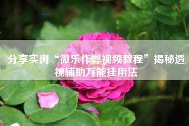 分享实测“微乐作弊视频教程”揭秘透视辅助万能挂用法