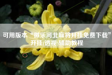 可用版本“微乐河北麻将开挂免费下载”开挂(透视)辅助教程