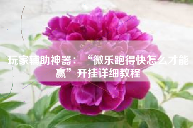 玩家辅助神器：“微乐跑得快怎么才能赢	”开挂详细教程