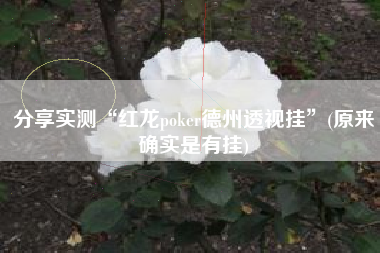 分享实测“红龙poker德州透视挂”(原来确实是有挂)