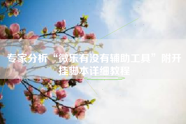 专家分析“微乐有没有辅助工具”附开挂脚本详细教程