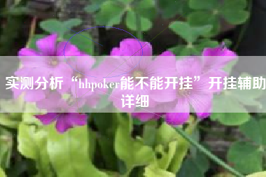 实测分析“hhpoker能不能开挂”开挂辅助详细