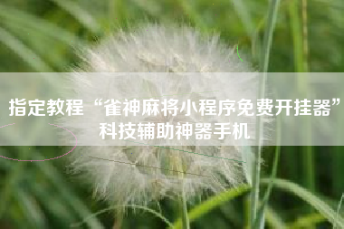 指定教程“雀神麻将小程序免费开挂器”科技辅助神器手机