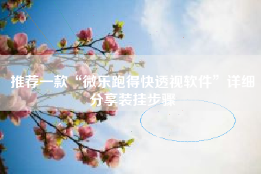 推荐一款“微乐跑得快透视软件”详细分享装挂步骤