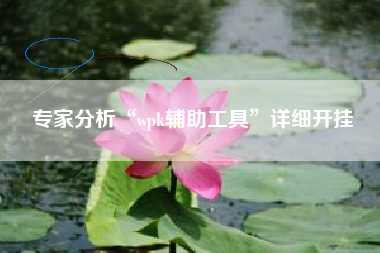 专家分析“wpk辅助工具	”详细开挂