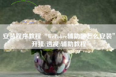安装程序教程“WePoker辅助器怎么安装	”开挂(透视)辅助教程