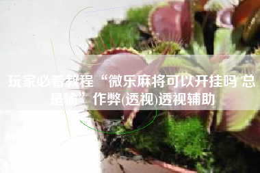 玩家必看教程“微乐麻将可以开挂吗 总是输”作弊(透视)透视辅助