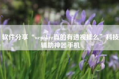 软件分享“wepoker真的有透视挂么	”科技辅助神器手机