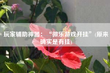 玩家辅助神器：“微乐游戏开挂”(原来确实是有挂)