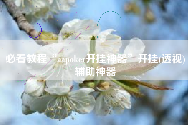 必看教程“aapoker开挂神器”开挂(透视)辅助神器