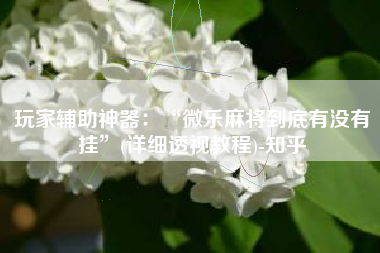 玩家辅助神器：“微乐麻将到底有没有挂”(详细透视教程)-知乎
