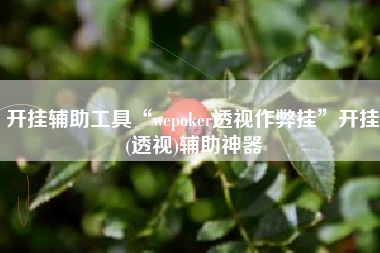 开挂辅助工具“wepoker透视作弊挂	”开挂(透视)辅助神器