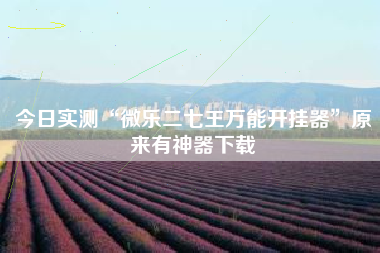 今日实测“微乐二七王万能开挂器”原来有神器下载