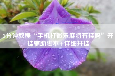 3分钟教程“手机打微乐麻将有挂吗	”开挂辅助脚本+详细开挂