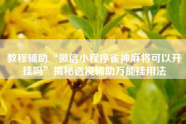 教程辅助“微信小程序雀神麻将可以开挂吗”揭秘透视辅助万能挂用法