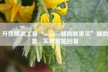 开挂辅助工具“wepoker辅助哪里买	”辅助器 - 实时智能回复