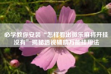 必学教你安装“怎样看出微乐麻将开挂没有	”揭秘透视辅助万能挂用法