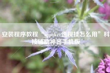 安装程序教程“appoker透视挂怎么用	”科技辅助神器手机版
