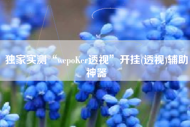 独家实测“wepoKer透视”开挂(透视)辅助神器